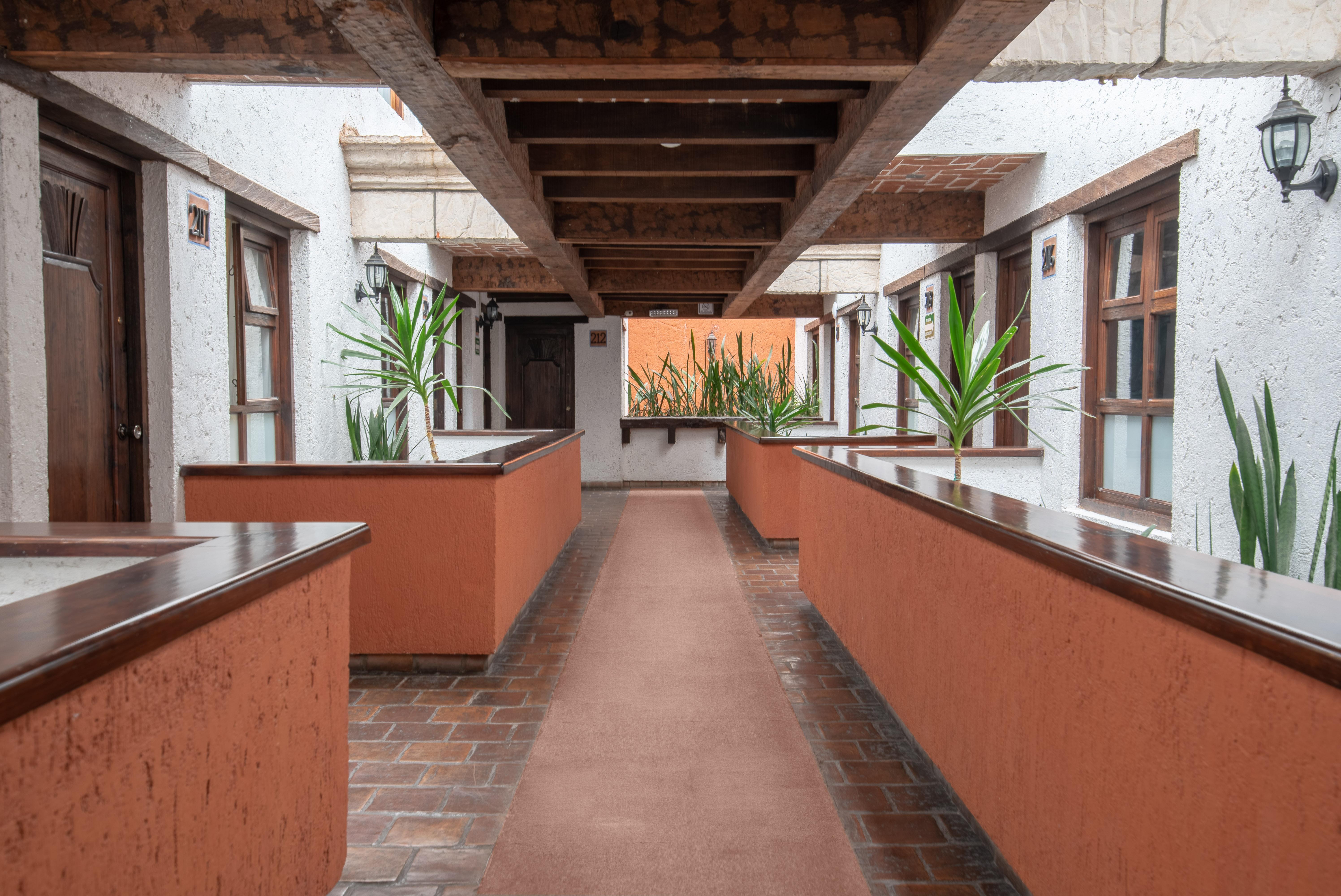 Plaza Magnolias Ξενοδοχείο San Cristóbal de Las Casas Εξωτερικό φωτογραφία